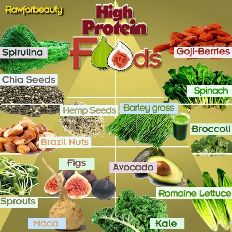 菜食プロテインタンパク質protein vigan