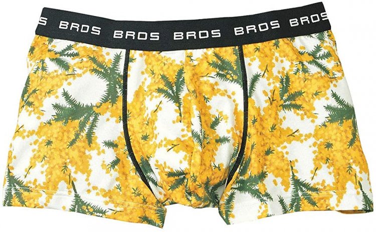 Men's Boxer Pants Brand⑱ "BROS