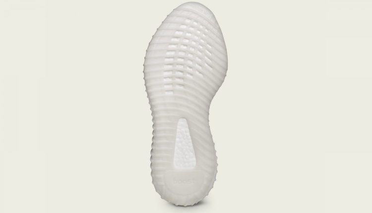Boost350V2Zebra-05_PR_72_2500x1878