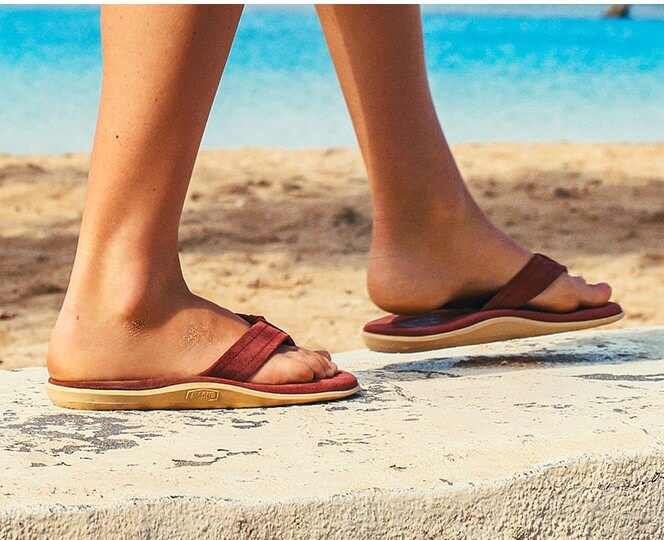 What is the appeal of \