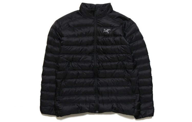 Notable outdoor brand down jackets (4) "Arc'teryx