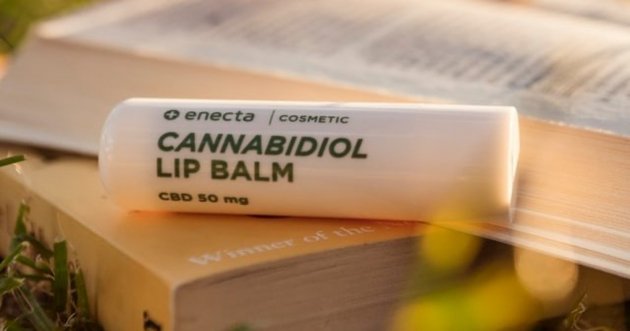 Lip balm men’s special! How to choose and our recommendations all in one place!