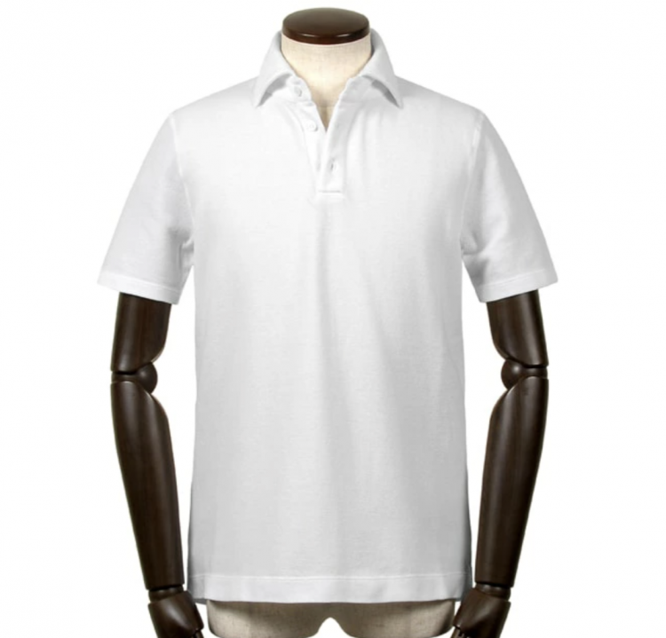 Polo shirts for adults that can be used for Cool Biz (6) "Cruciani Oni Kanoko Polo Shirt