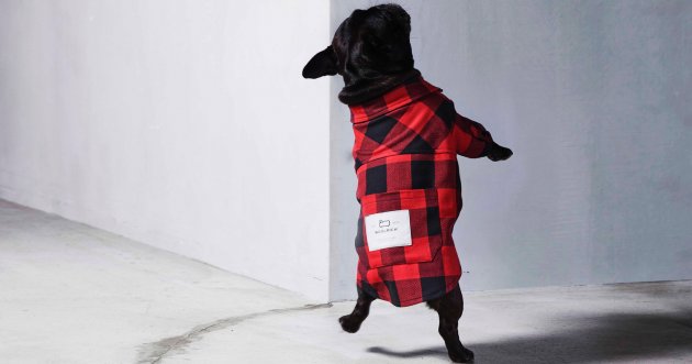Enjoy Authentic Winter Codes with Your Dog! The first dog collection from Woolrich is now available!