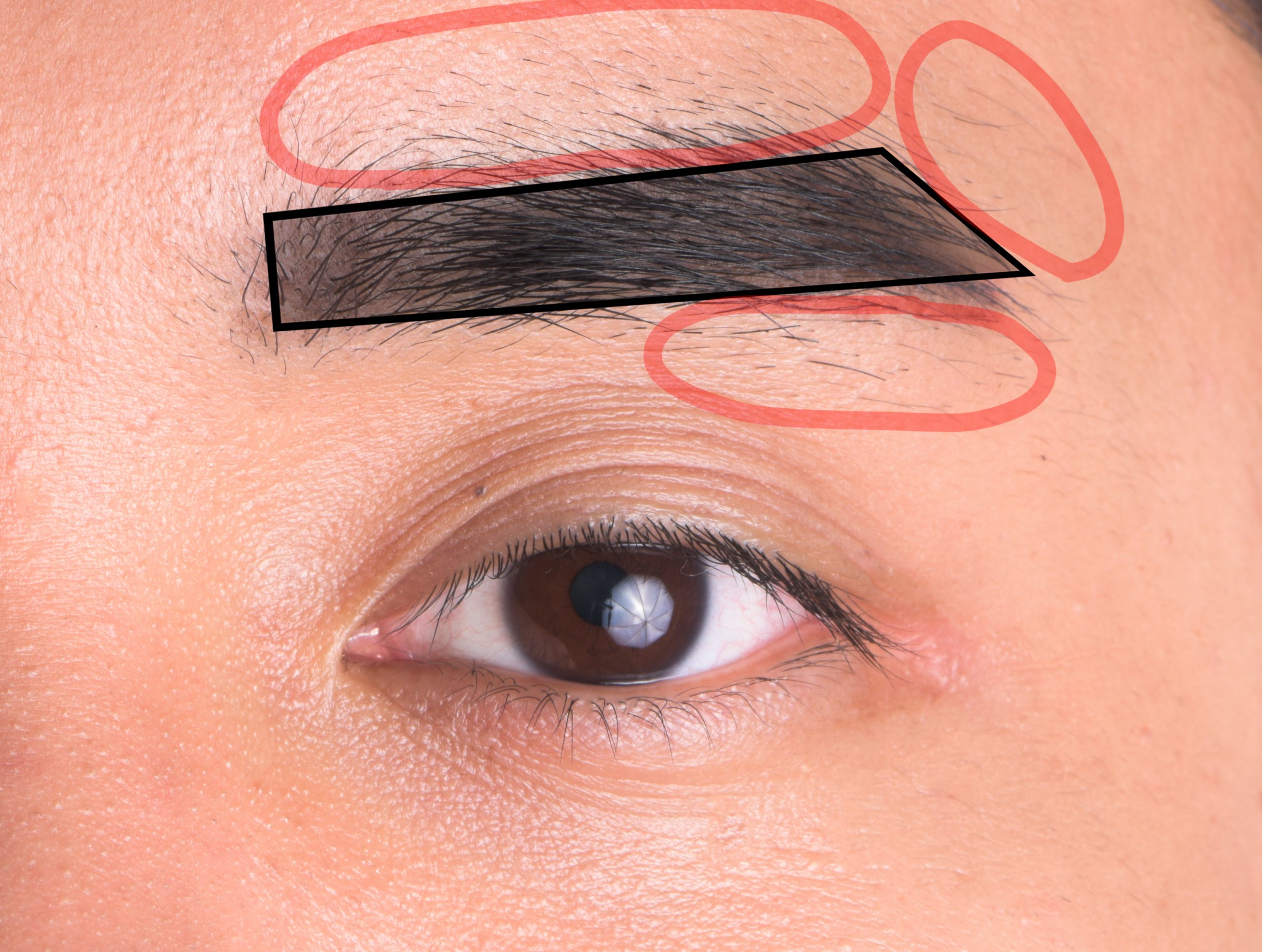 メンズ眉毛の正しい整え方とは？初心者でも簡単に“モテ眉”が作れる方法を伝授 - メンズ眉毛の正しい整え方とは？初心者でも簡単に”モテ眉”が ...