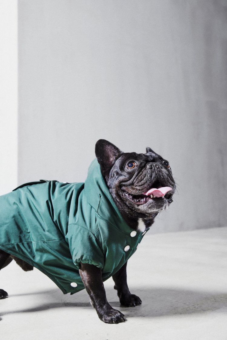 WoolRich DOG COLLECTION9