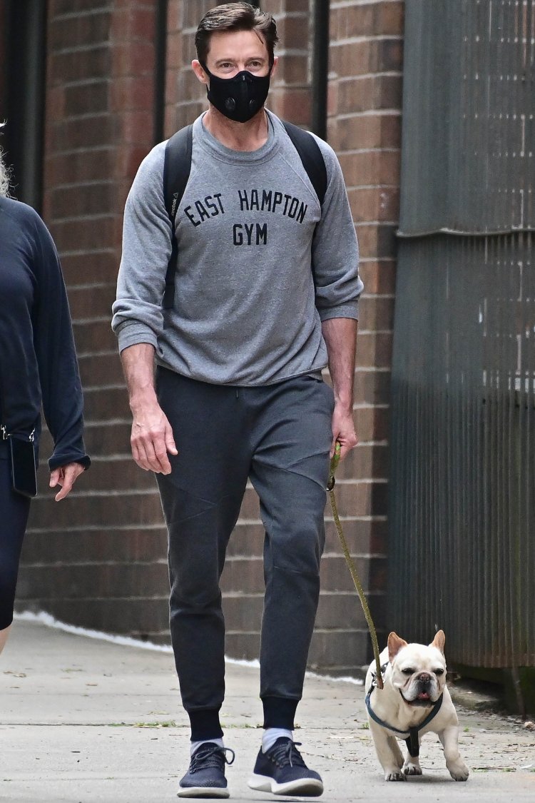 Hugh Jackman and wife Deborra-Lee Furness picking up after their dogs in New York