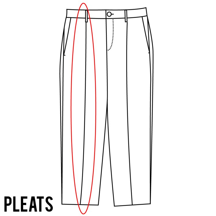 Pleated detail image of slacks