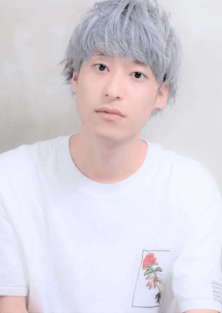 Silver hair recommended men's hair (9)