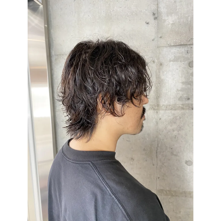Mush Wolf x Perm Recommended Men's Hair (2)