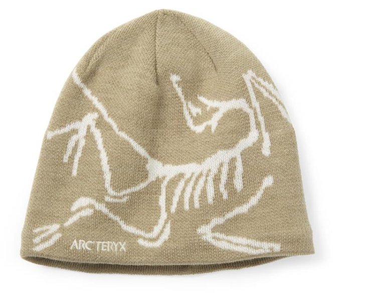 Graphics that become a point of dressing are popular! " Arc'teryx