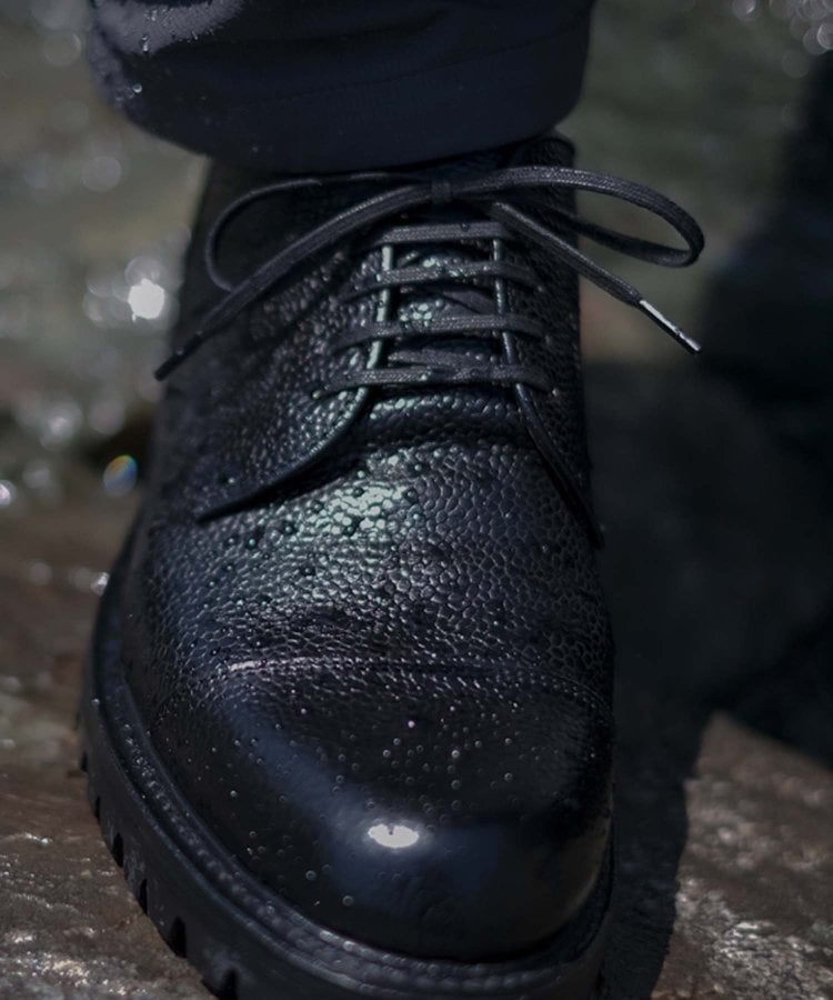 REGAL Shoe&Co Straight Tip (GORE-TEX Footwear)
