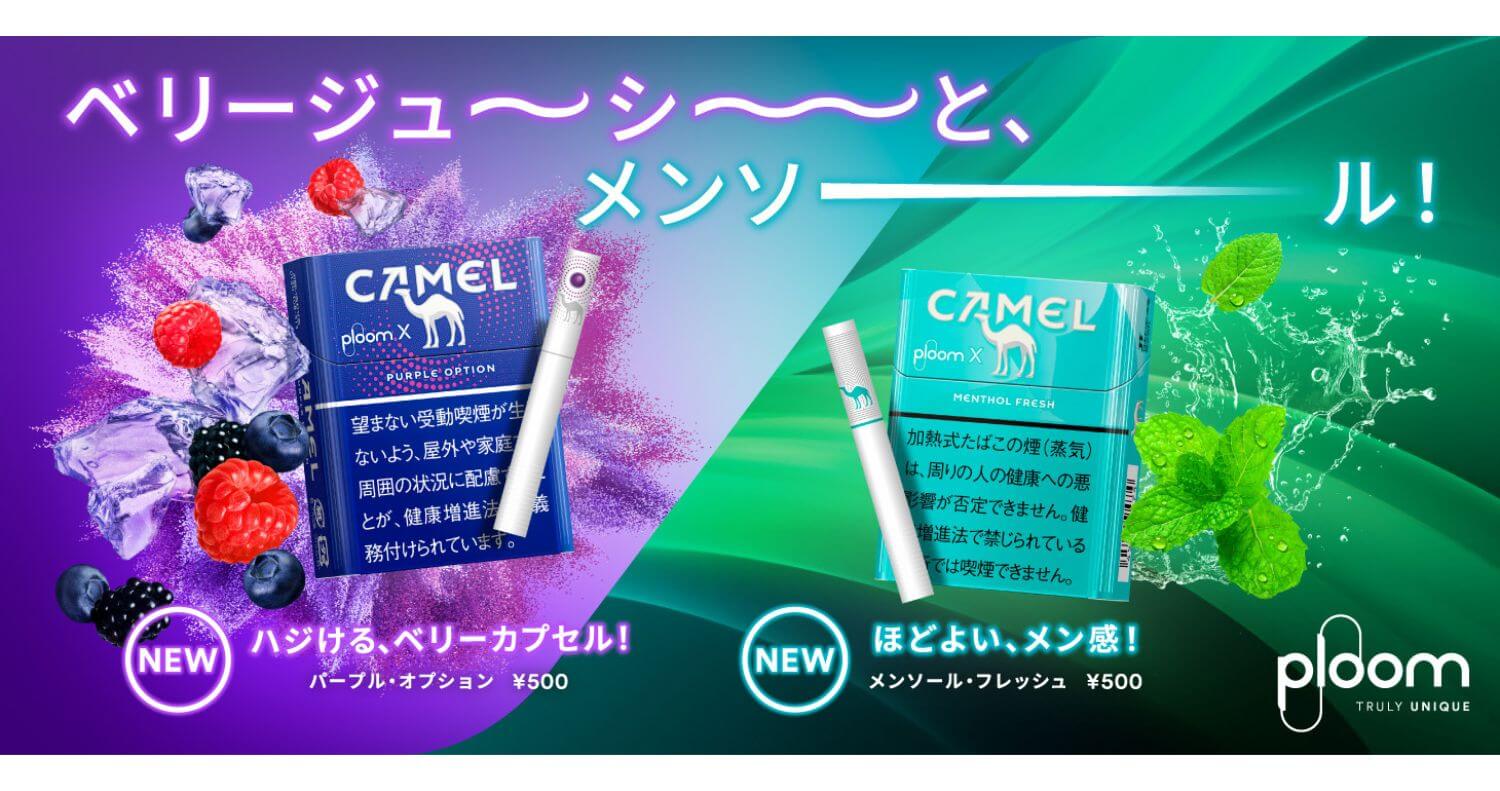 elfbar elfa master akku Camel Box PACK – Chambers Wine & Liquor main image 0