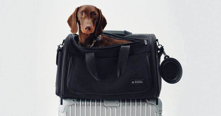リモワから意外な新アイテム「ペットキャリーバッグ」が発売！大切なペットの旅も快適に