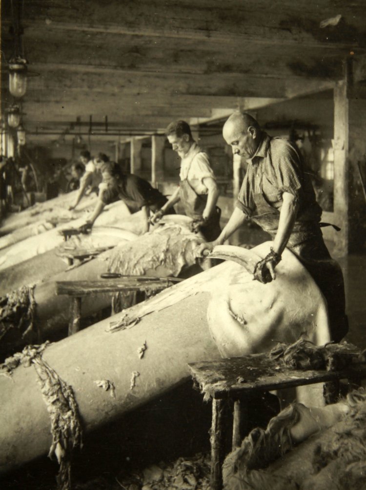Leather industry in Austria. About 1935. Photograph.