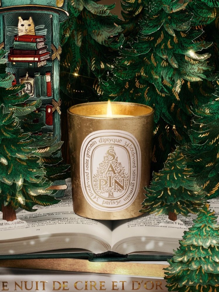 holiday_2025_visuel_prioritaire_produit_bougie-sapin-190g_no-logo_rvb_72dpi_2025x2700px_diptyque