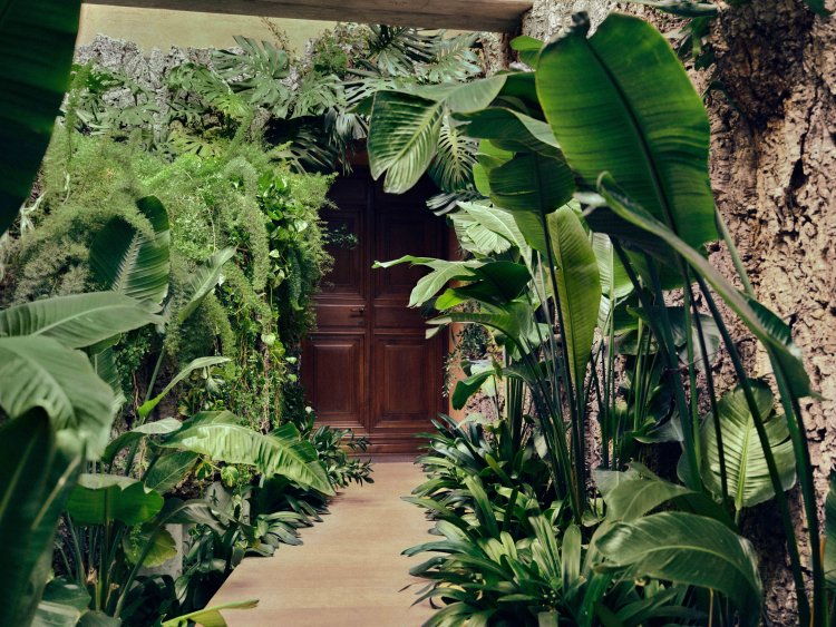ZEGNA GARDEN_ATMOSPHERE (10)