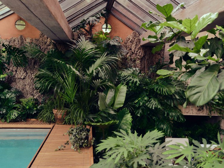 ZEGNA GARDEN_ATMOSPHERE (2)