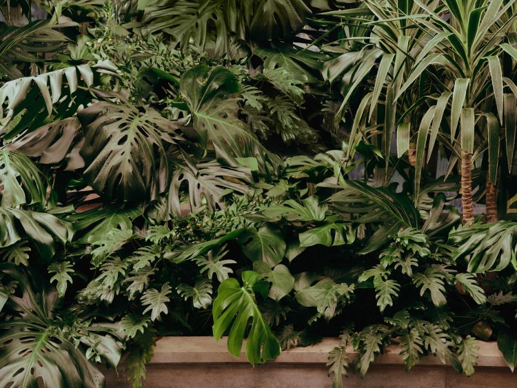ZEGNA GARDEN_ATMOSPHERE (3)