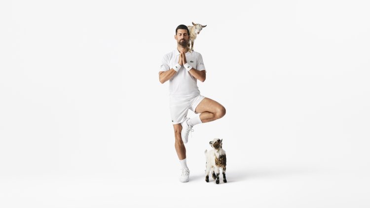 sub8
