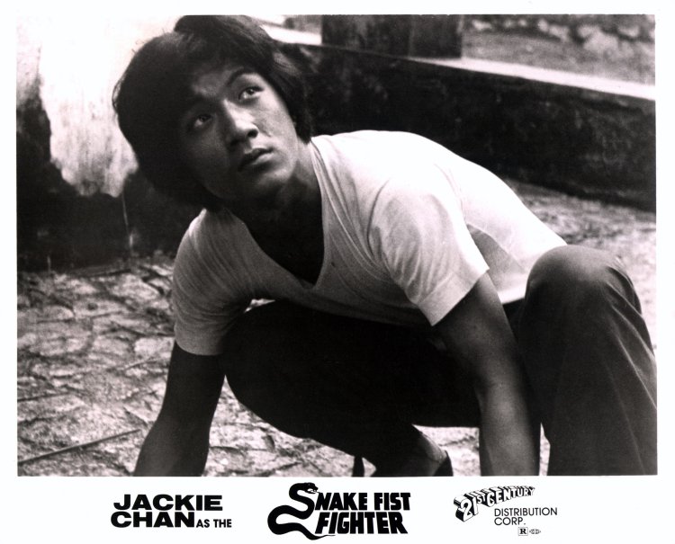SNAKE FIST FIGHER, (aka LAST TIGER FROM CANTON aka LITTLE TIGER FROM CANTON aka MASTER WITH CRACKE